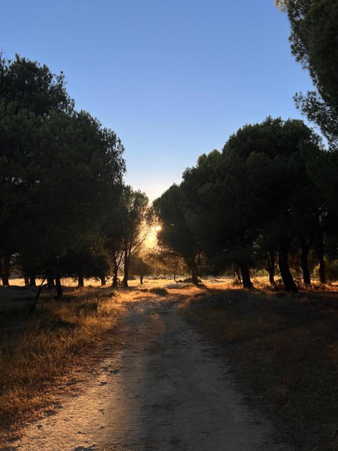 Posada Rural La Resinera La Adrada Bagian luar foto