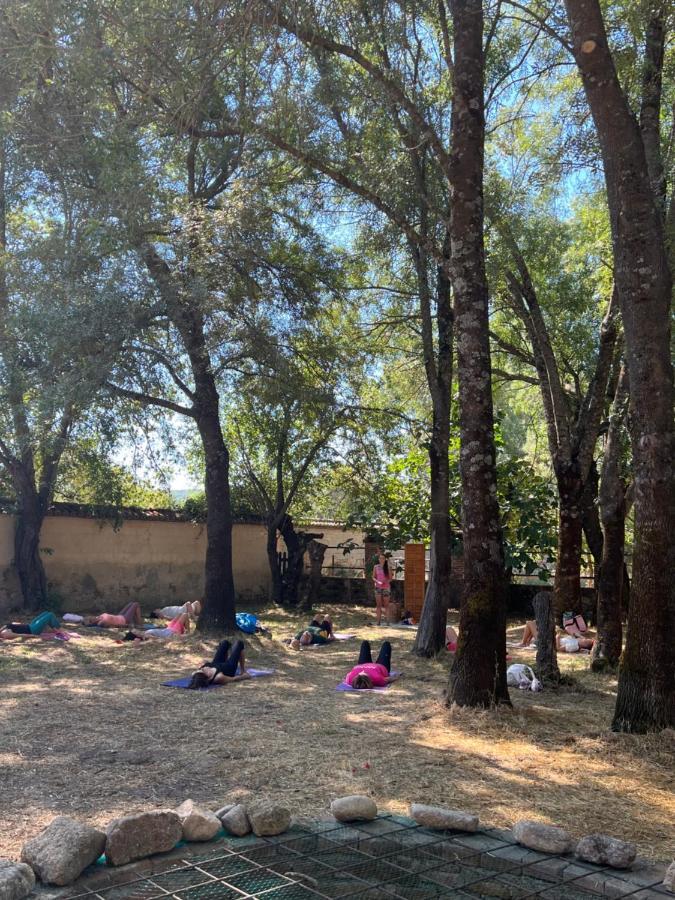 Posada Rural La Resinera La Adrada Bagian luar foto
