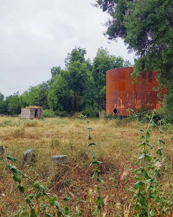 Posada Rural La Resinera La Adrada Bagian luar foto