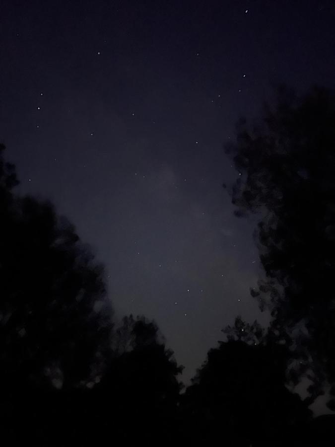 Posada Rural La Resinera La Adrada Bagian luar foto