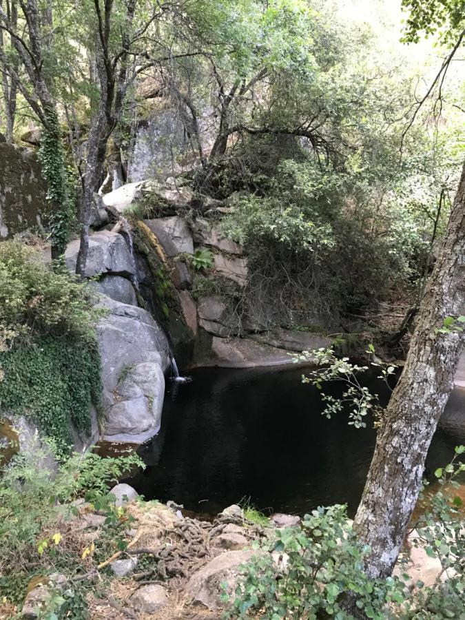 Posada Rural La Resinera La Adrada Bagian luar foto