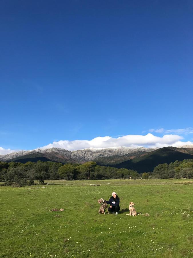 Posada Rural La Resinera La Adrada Bagian luar foto