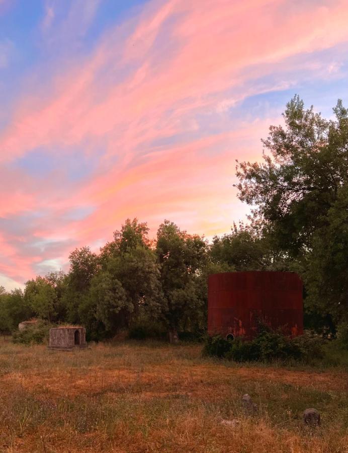 Posada Rural La Resinera La Adrada Bagian luar foto